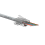 Produkt Univerzální EASY konektor RJ45 CAT6 UTP 8p8c na drát i licnu SXRJ45-6-UTP-EASY - Solarix - Konektory
